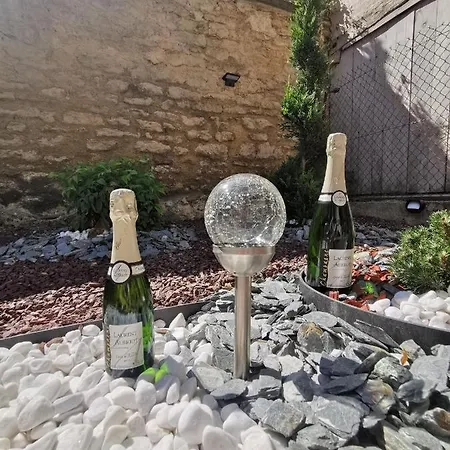 La Chouette De La Cathédrale - Calme - Jardin - Wifi