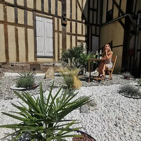 La Chouette De La Cathedrale - Calme - Jardin - Wifi * Troyes