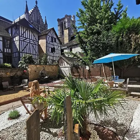 La Chouette De La Cathedrale - Calme - Jardin - Wifi * Troyes