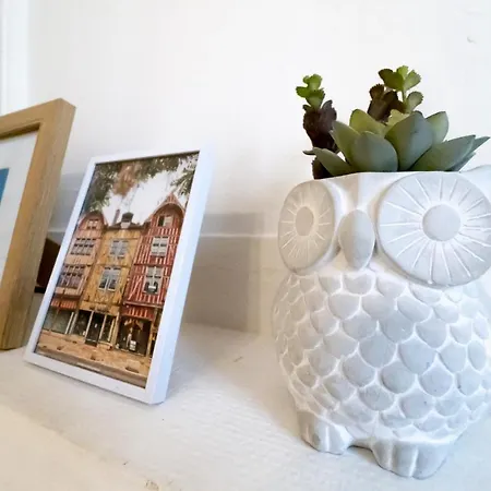 La Chouette De La Cathedrale - Calme - Jardin - Wifi